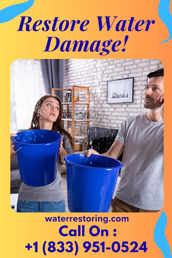water restoration Modern Damage Recovery Experts Prospect Heights